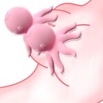 Octopus Nipple Vibrators - 10 Modes