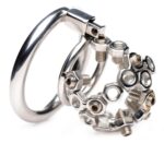 Bolted Stainless Steel Chastity Cage with Spikes