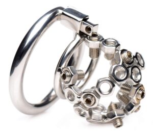 Bolted Stainless Steel Chastity Cage with Spikes