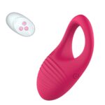 kinksterhub A rose-red vibrating cock ring with a separate remote control.