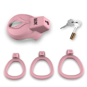 All parts of Flat 3D Vagina Resin Pink Chastity Cage