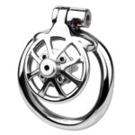 Stainless Steel Spiked Extreme Chastity Cage